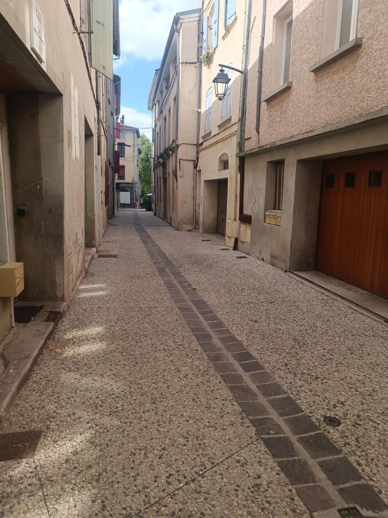 Grand Studio Meuble Chez Coco 伊泽尔河畔的罗曼 外观 照片